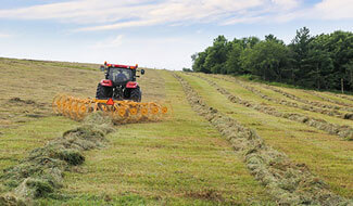 VR1022 Carted Wheel Rake